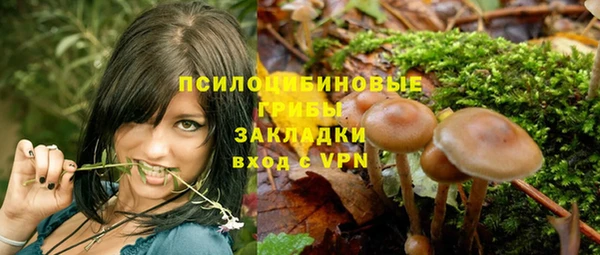 гашик Алзамай